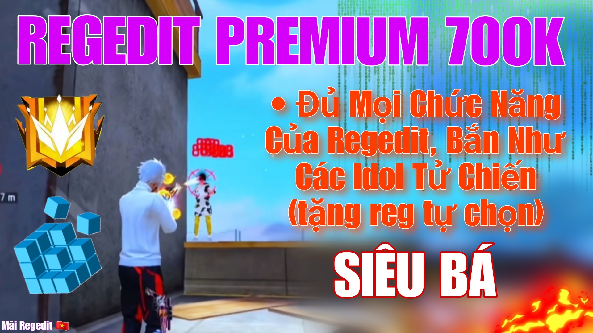 Regedit Premium 700K